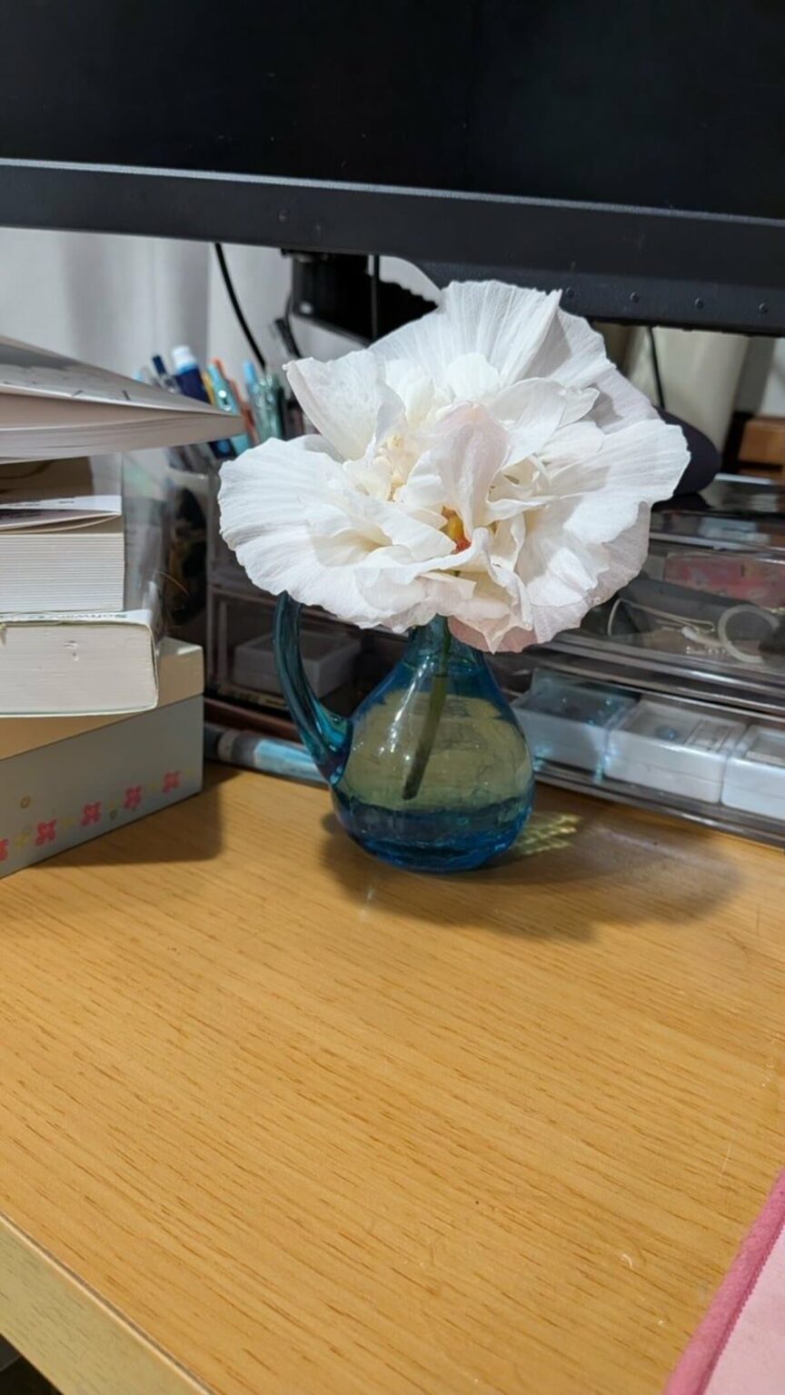 朝は真っ白だった花が夕方にはピンク色に　「酔芙蓉」の美しい変化に見入ってしまう | LIMO | くらしとお金の経済メディア
