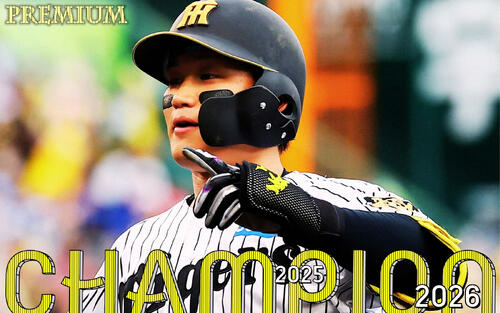 【特別インタビュー２】阪神森下翔太の一流論「ホームランを狙えるフェーズに入った」 - プロ野球 : 日刊スポーツ・プレミアム