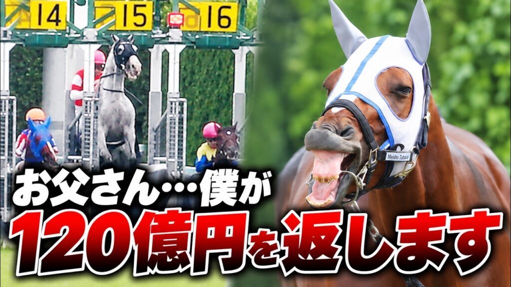 ゴルシが飛ばした120億円を取り戻せ！息子メイショウタバルが本気を出した結果www #競馬 #ウマ娘 #凱旋門賞 #メイショウタバル #ゴールドシップ #ゴールドシップ産駒