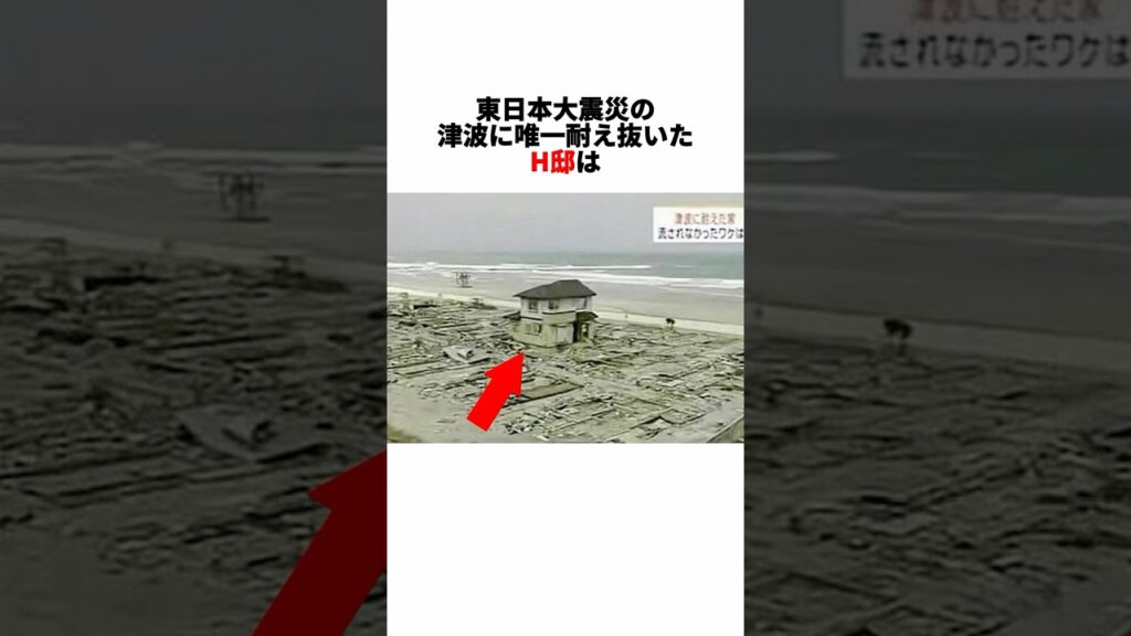 唯一津波に流されない家を作った、佐藤仁の雑学#雑学#豆知識