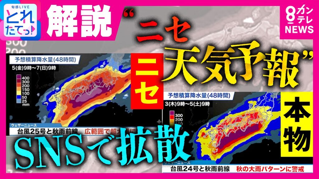 【気象予報士解説】「警報級の大雨」本物そっくり“ニセ天気予報”がSNSで拡散 どうやって見抜く?いったいなぜ? 不自然な点あるも“150万回”以上再生|旬感LIVE とれたてっ!〈カンテレ〉 【気象予報士解説】「警報級の大雨」本物そっくり“ニセ天気予報”がSNSで拡散 どうやって見抜く?いったいなぜ? 不自然な点あるも“150万回”以上再生|旬感LIVE とれたてっ!〈カンテレ〉