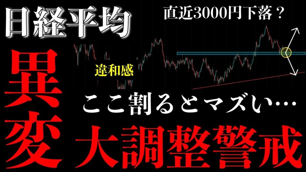 ⚠️日経平均“異変発生”。ここを割ると大調整が始まります【Nikkei225分析】 ⚠️日経平均“異変発生”。ここを割ると大調整が始まります【Nikkei225分析】