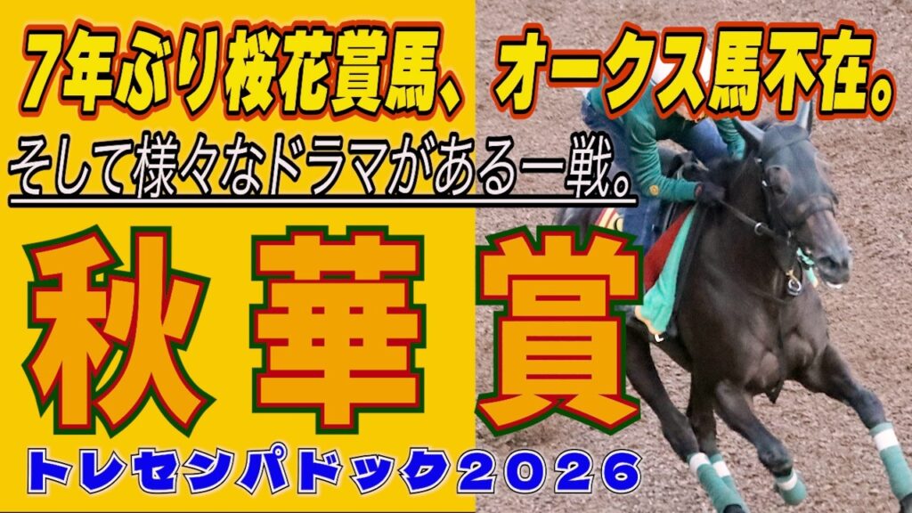 《秋華賞》7年ぶり桜花賞馬、オークス馬不在。そして様々なドラマのある一戦。スターホースに相応しい資質を持つ馬を探す！//出走馬を見て相馬眼を磨き、勝馬を探す『🉐動画』【トレセンパドック2026】