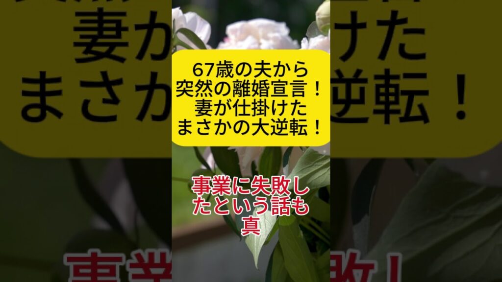 67歳の夫から突然の離婚宣言！妻が仕掛けたまさかの大逆転！