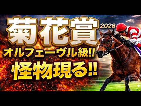 【菊花賞2026競馬予想|傾向と対策】軍師AI|二冠馬ロブチェンの三冠達成か?1週前追い切りで見えた注目馬、京都芝3000mコース形態、脚質、年齢、前走の格、人気、枠順、血統など過去傾向から徹底分析 【菊花賞2026競馬予想|傾向と対策】軍師AI|二冠馬ロブチェンの三冠達成か?1週前追い切りで見えた注目馬、京都芝3000mコース形態、脚質、年齢、前走の格、人気、枠順、血統など過去傾向から徹底分析