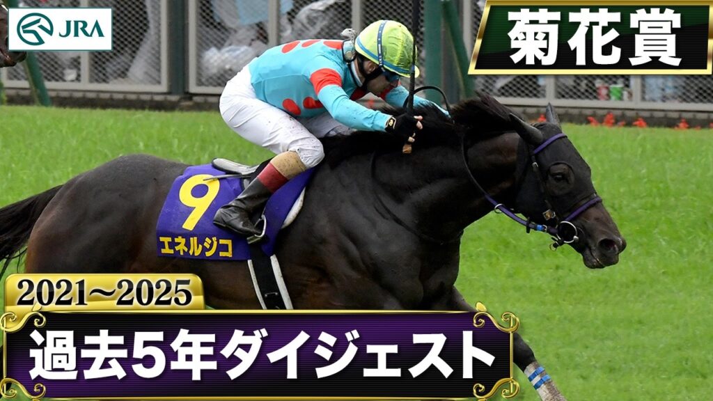 【過去5年】菊花賞 2021~2025|JRA公式 【過去5年】菊花賞 2021~2025|JRA公式