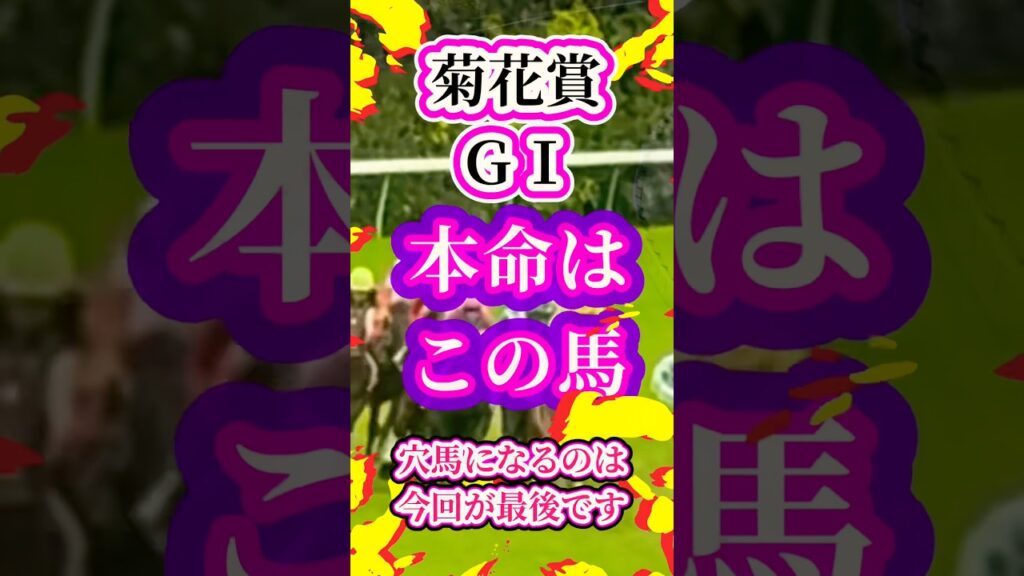 本命はこの馬【菊花賞2026】穴馬になるのは今回が最後です🏆