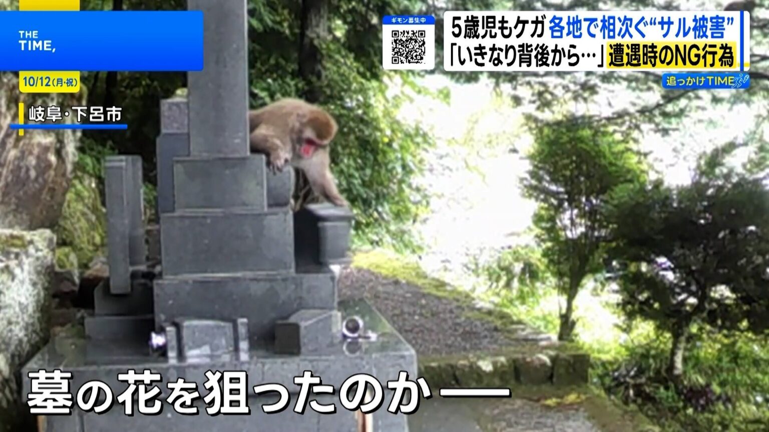 TBS NEWS DIG Powered by JNN
