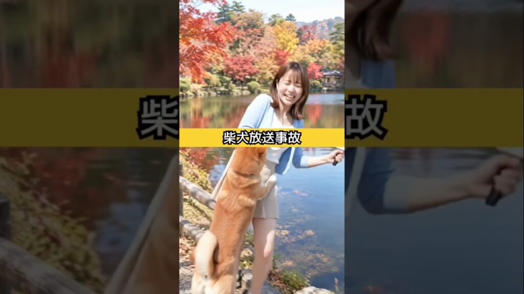 ​【放送事故】柴犬乱入！紅葉レポート中の女子アナ悲劇ｗｗ