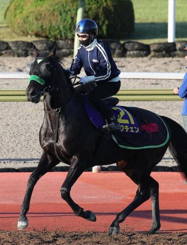 史上初の“ダブル3冠制覇”に挑む松山