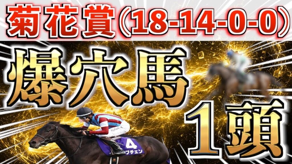 【菊花賞2026 予想】また大穴ブチ抜く◉全条件パーフェクト馬を狙い撃つ‼️【競馬予想】
