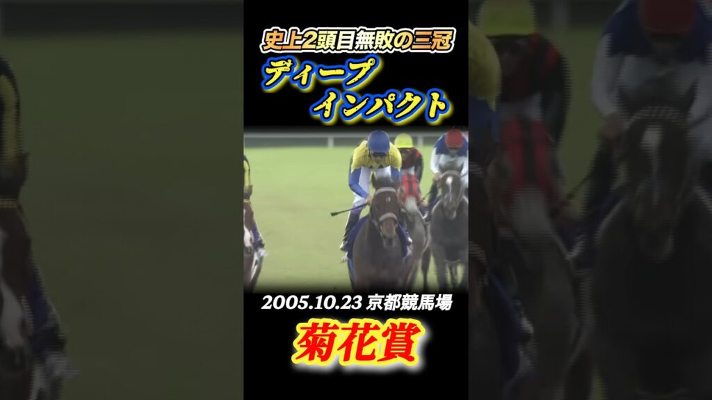 【菊花賞】ディープインパクト×武豊史上2頭目無敗の三冠馬誕生✨　#競馬  #菊花賞  #ディープインパクト  #武豊  #三冠馬  #shorts