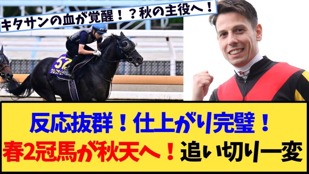 【キタサンブラック産駒】クロワデュノールが天皇賞・秋1週前追い切りで3頭併せ最先着！6F80秒4 11秒6の豪快な伸び脚にファン大絶賛
