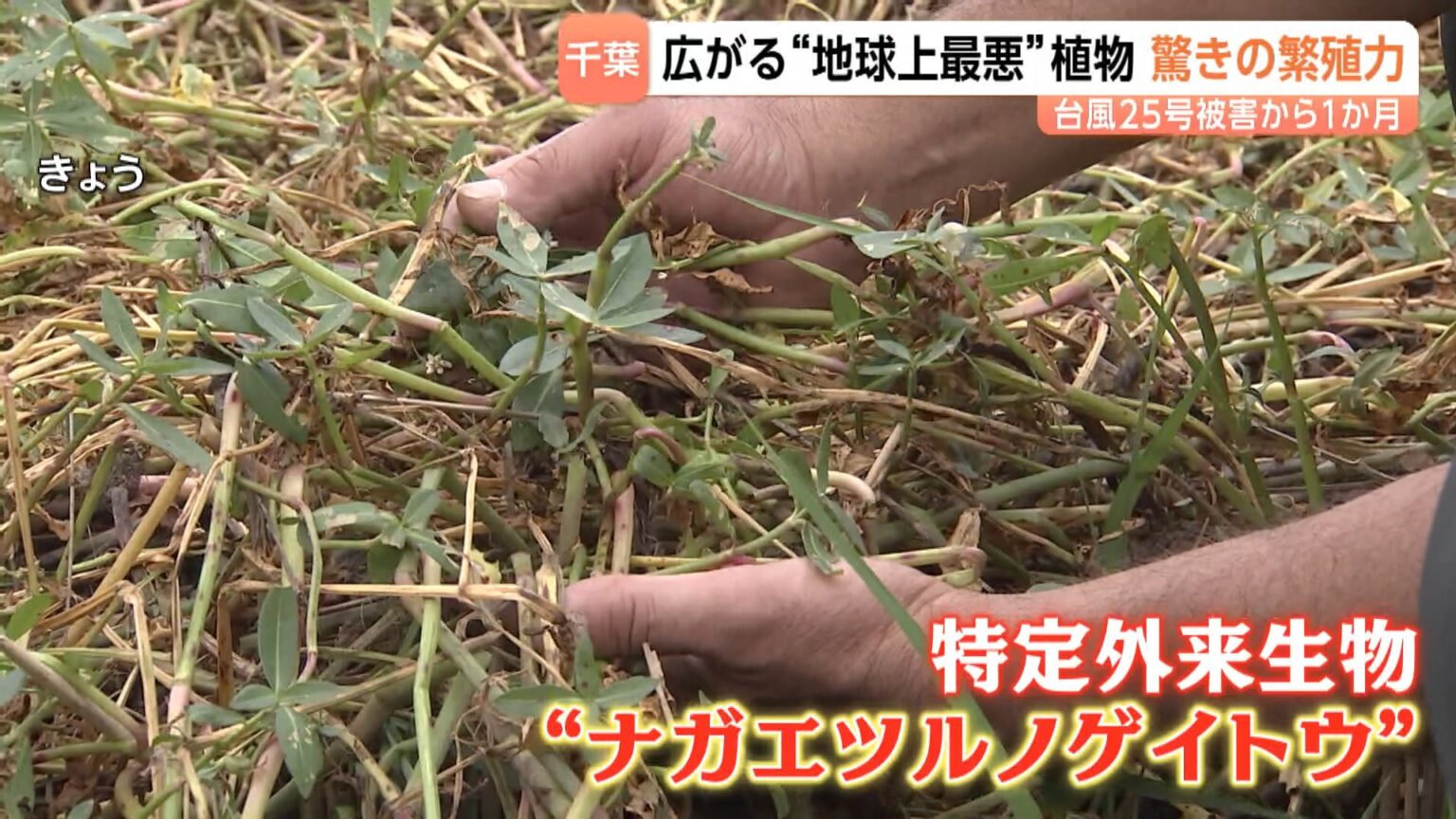 TBS NEWS DIG Powered by JNN