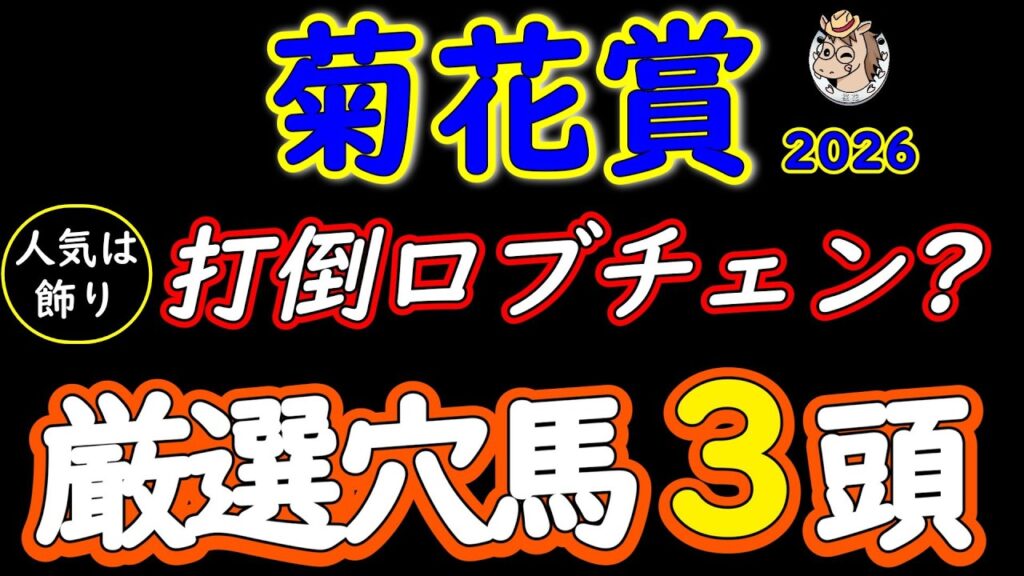 菊花賞2026 人気は飾り！穴馬3頭を厳選｜ロブチェン三冠を阻む伏兵は？【京都芝3000m】
