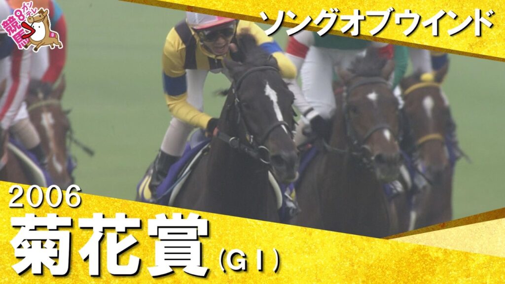 【メイショウサムソンの三冠阻止!】2006年菊花賞(GⅠ) ソングオブウインド 武幸四郎 実況:馬場鉄志 【カンテレ公式】 【メイショウサムソンの三冠阻止!】2006年菊花賞(GⅠ) ソングオブウインド 武幸四郎 実況:馬場鉄志 【カンテレ公式】