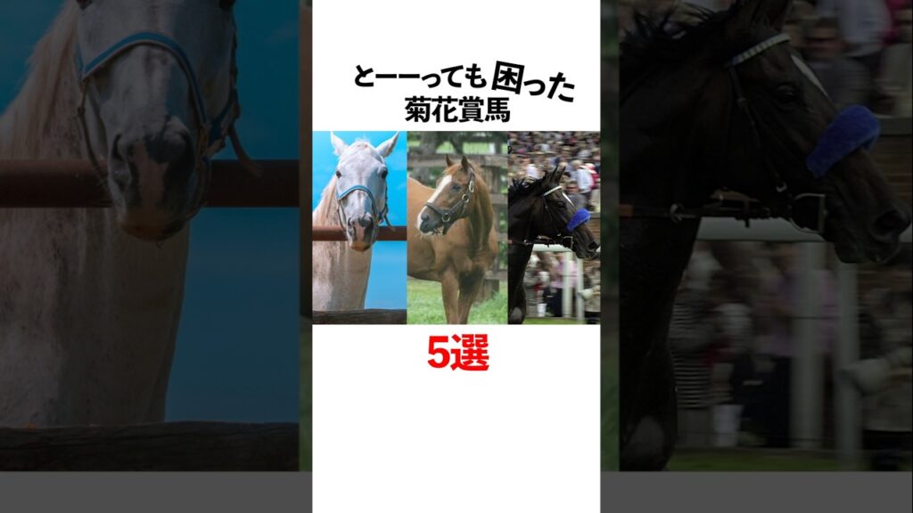 とーっても困った菊花賞馬5選 #競馬