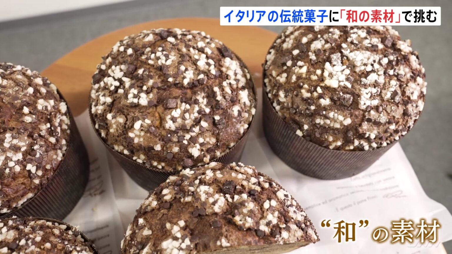 TBS NEWS DIG Powered by JNN