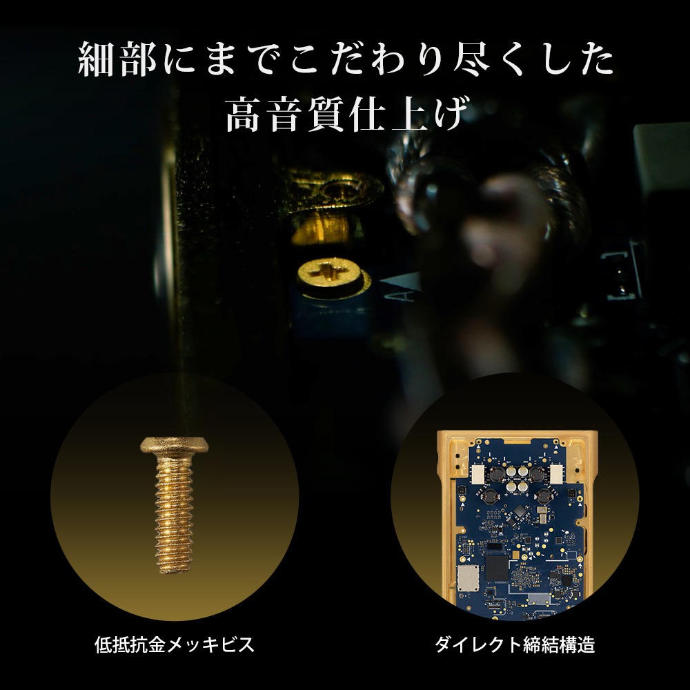 ウォークマン Signature Series「NW-WM1ZM3」