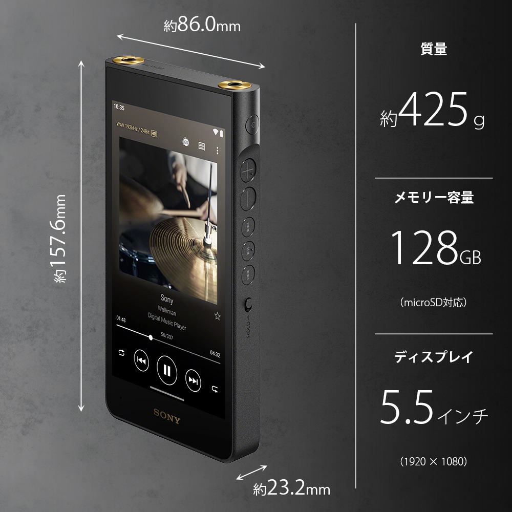 ウォークマン WM1シリーズ「NW-WM1AM3」