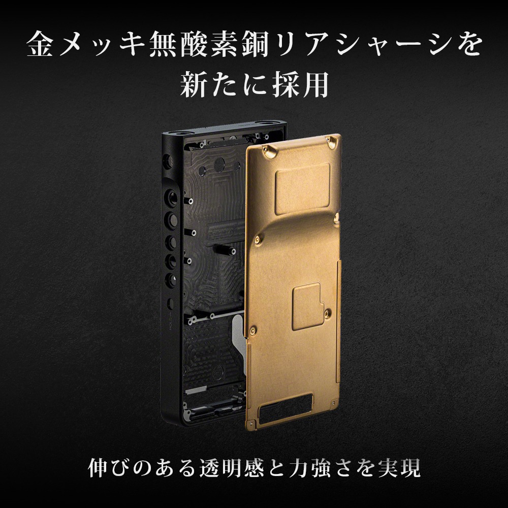 ウォークマン WM1シリーズ「NW-WM1AM3」