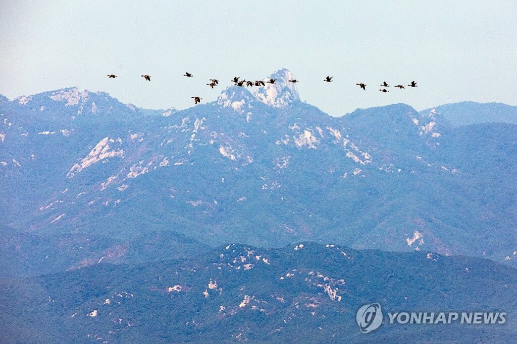 韓国のDMZ環境・歴史調査　国連軍が協力拒否し2年半中断＝「主権制約」指摘も