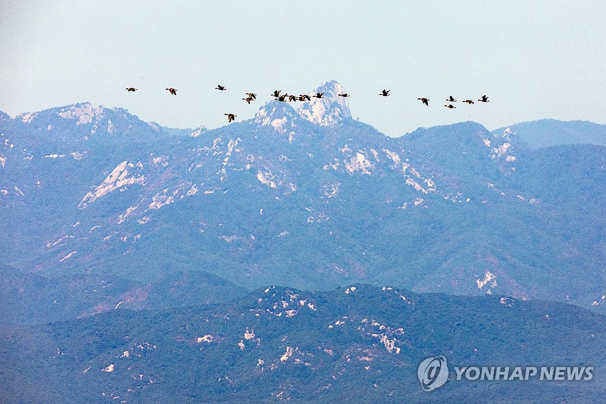 韓国・ソウル北方の京畿道坡州市から見たDMZの上空を渡り鳥が飛んでいる＝（聯合ニュース）